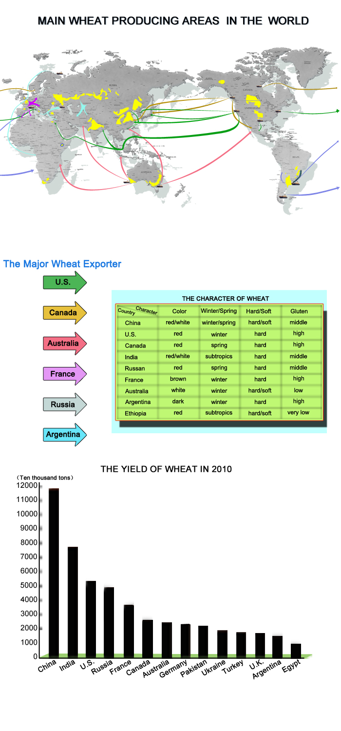 Main wheat producing areas