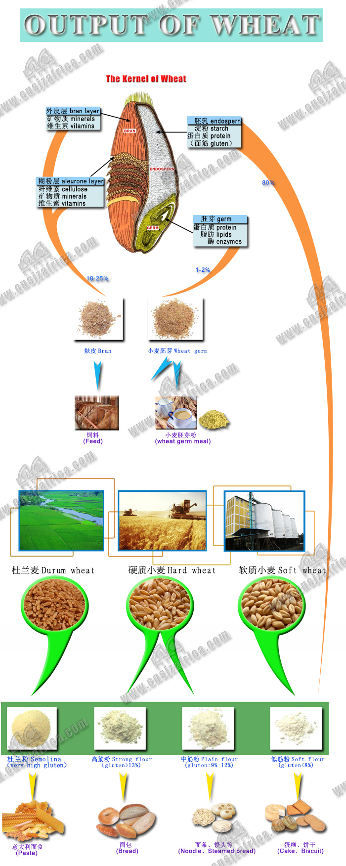wheat